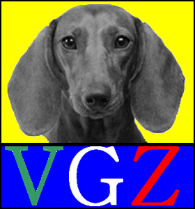 Logo VGZ.bmp