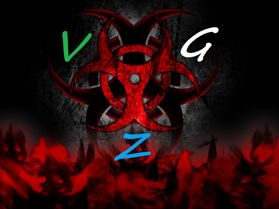 VGZ.jpg