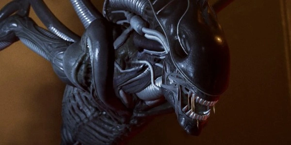Alien: Rogue Incursion resterà incompiuto? Survios chiude i battenti e il secondo capitolo è a rischio